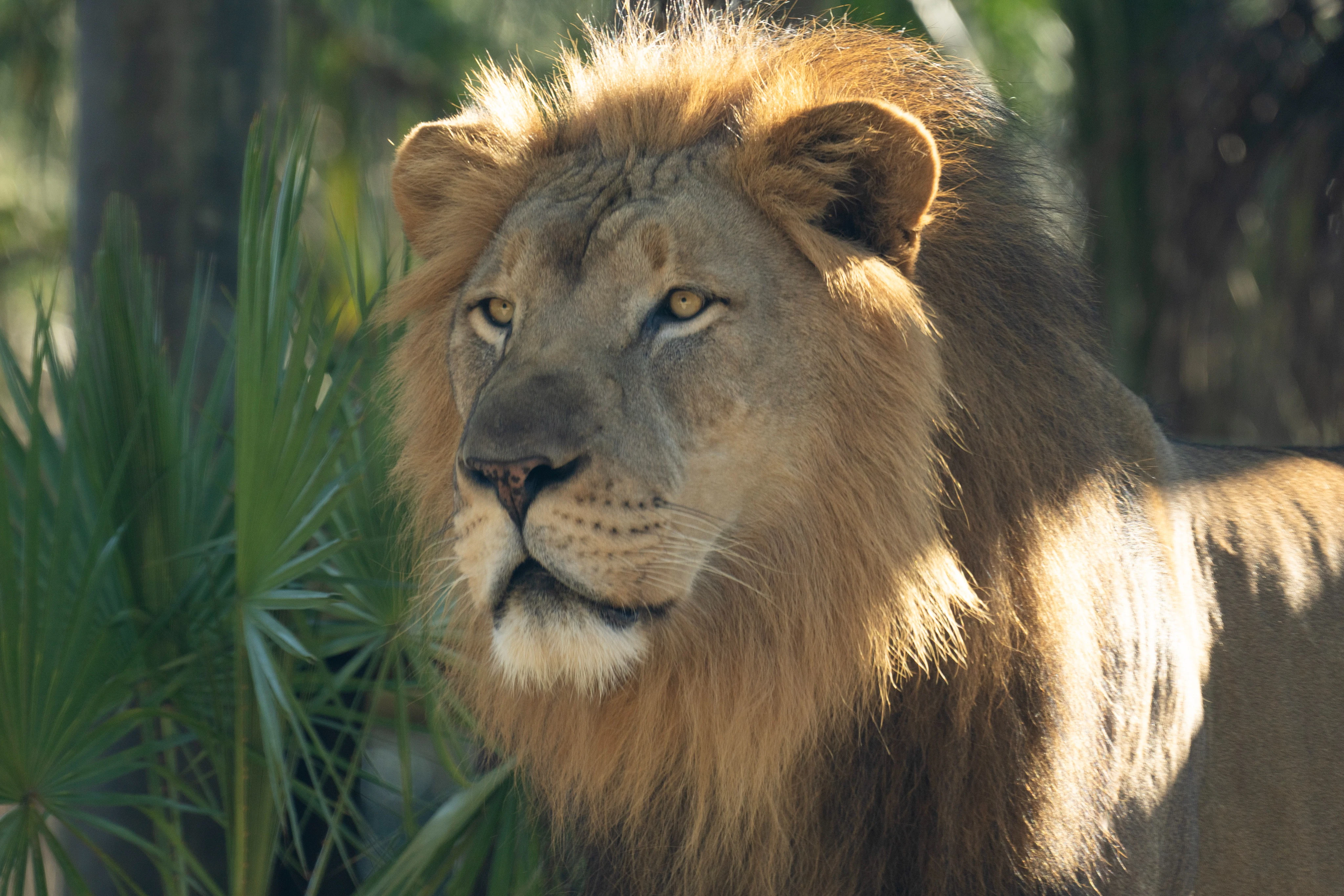 Brevard Zoo: Entry Ticket