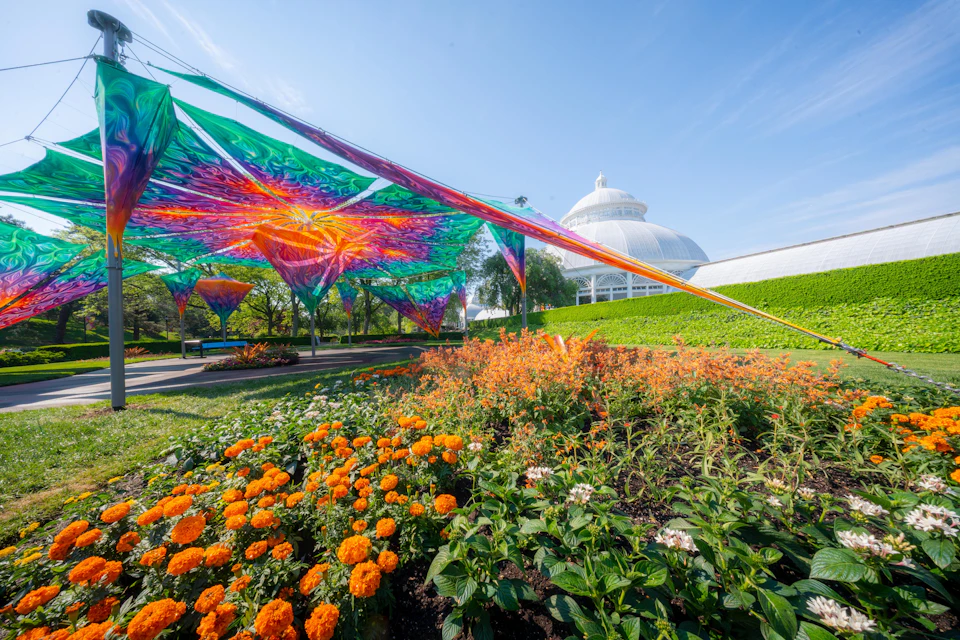 A vibrant garden with orange flowers and a colorful canopy structure, near a white domed building under a blue sky.