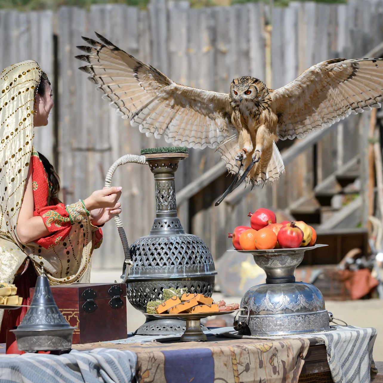 Puy du Fou España: Entry Ticket + Roundtrip Transport from Madrid