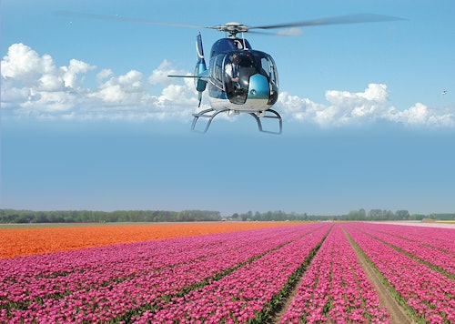 ヘリコプターによるキューケンホフ近郊のオランダ花畑の遊覧飛行(即日発券)