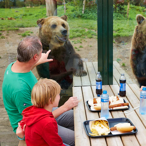 Eindhoven Zoo