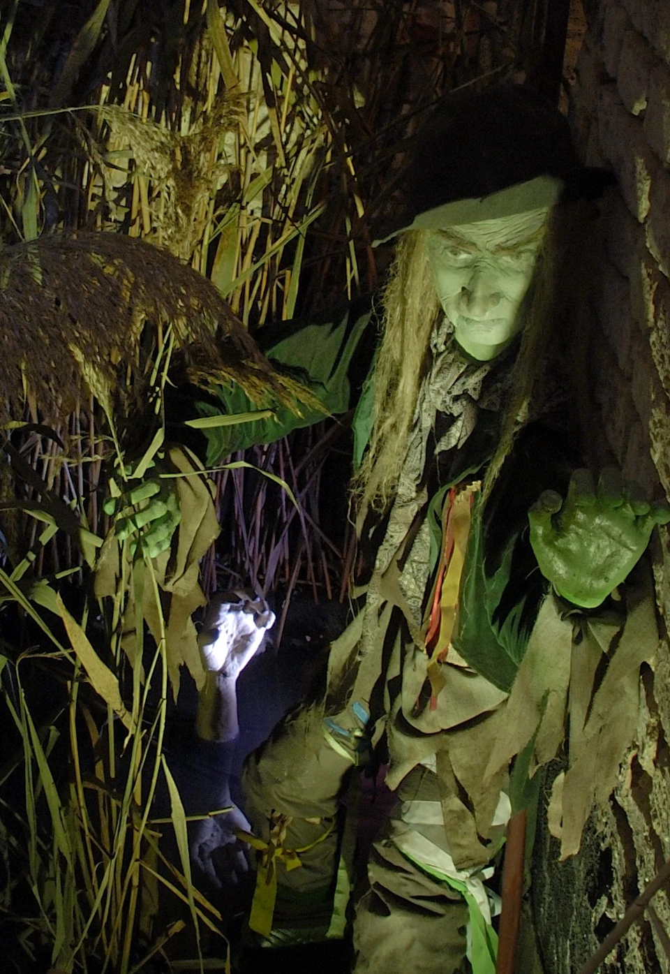 Spooky figure with green skin and tattered clothes hiding among tall reeds in a dark, eerie setting.