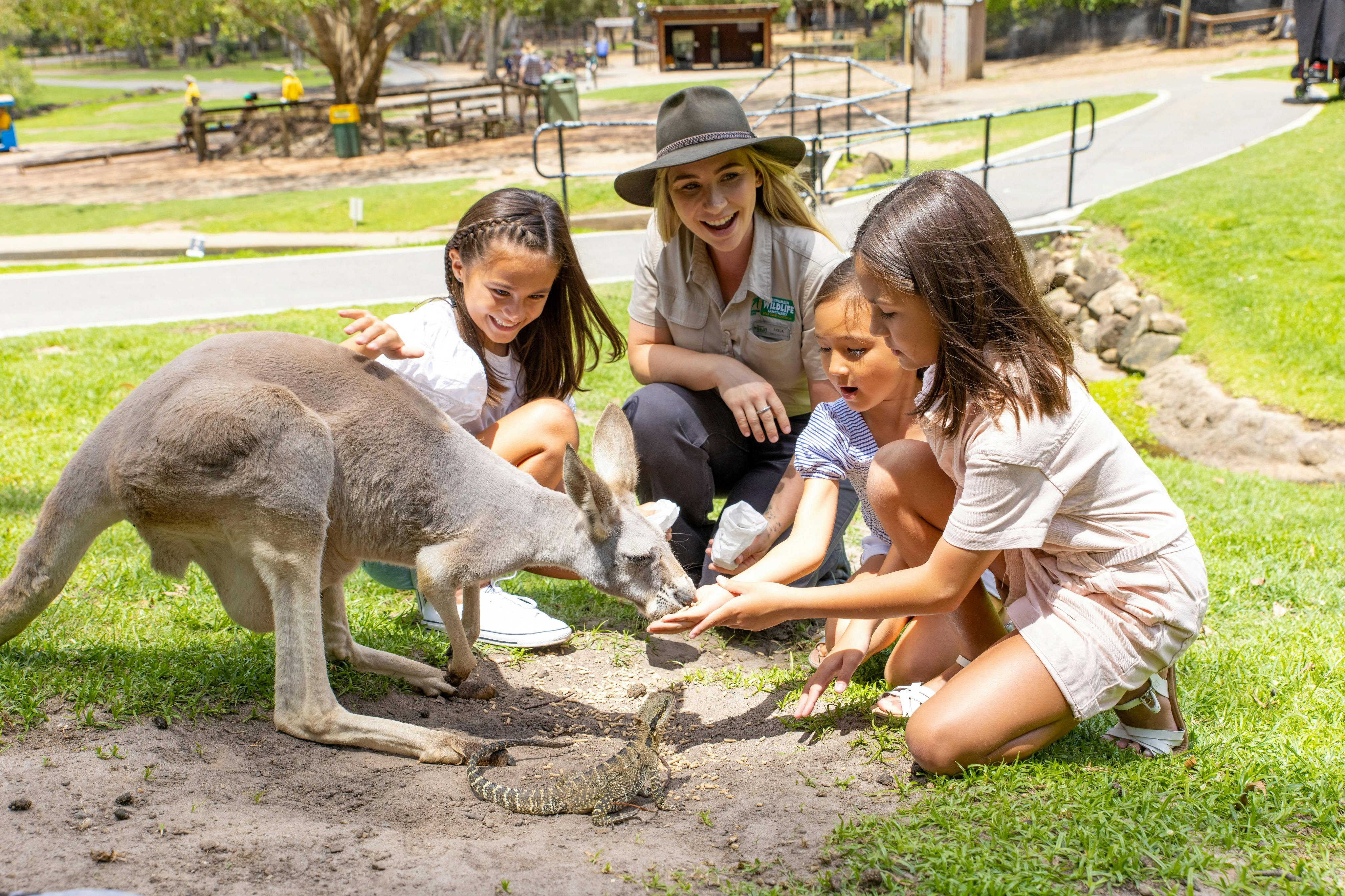 Kangaroo feeding in Kangaroo Country