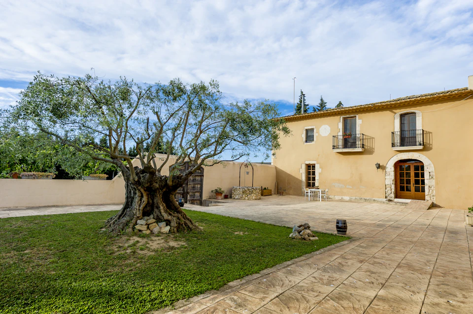Winery located in a 12th century farmhouse.