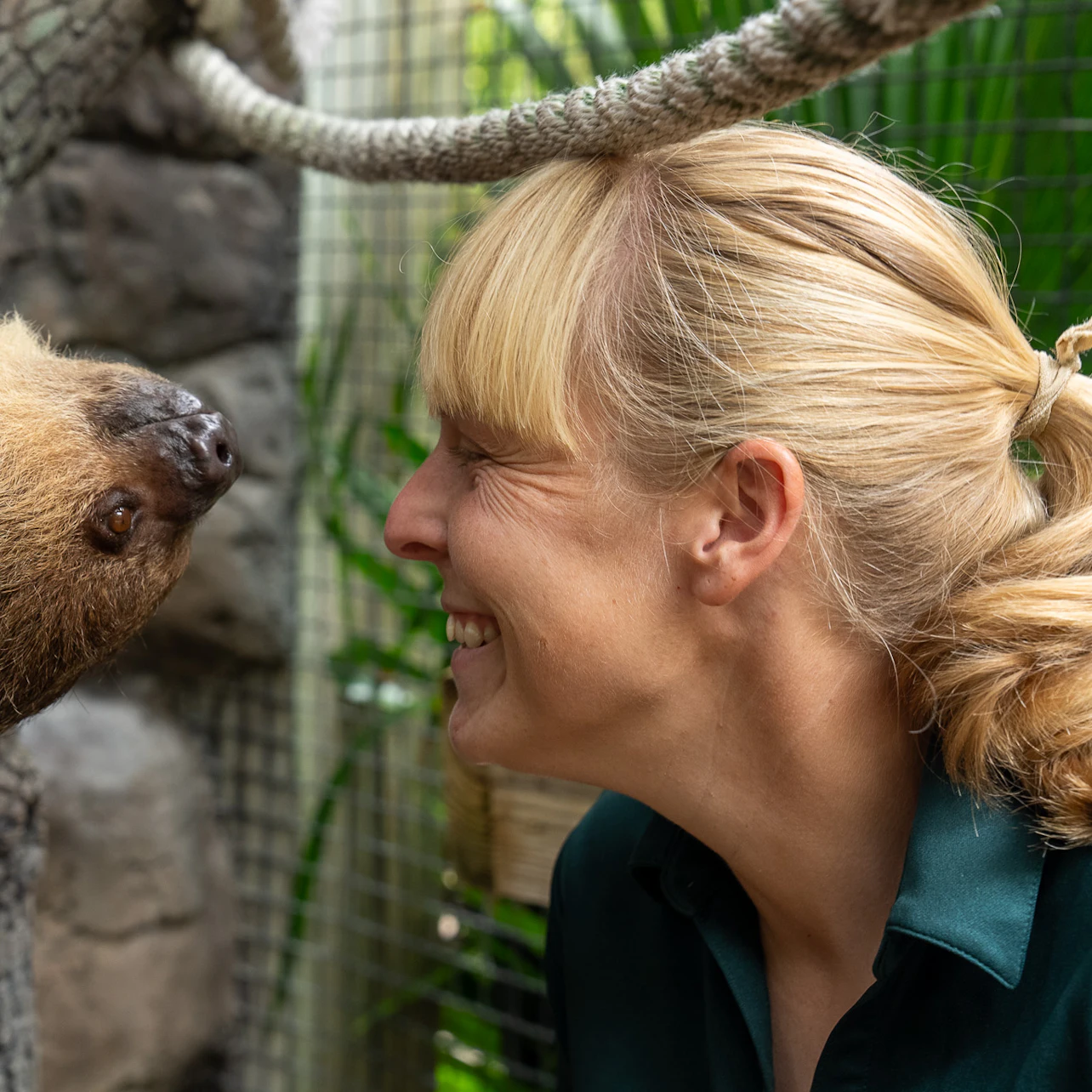 A woman and a sloth facing each other closely with a mesh fence and greenery in the background.