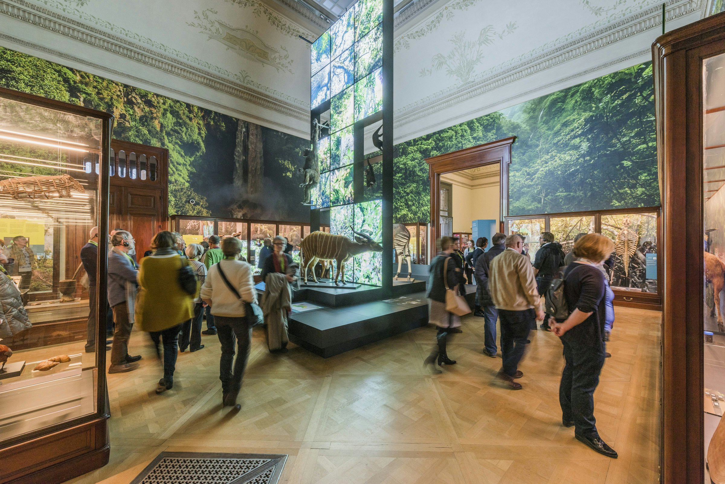 Museu da África: bilhete de entrada