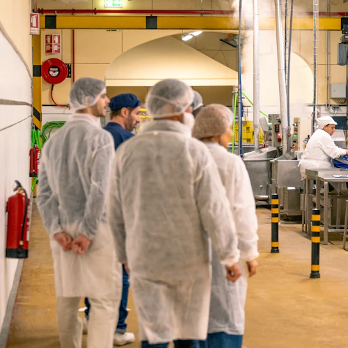 Conservas Pinhais Factory: Guided Tour in English - Photo 7