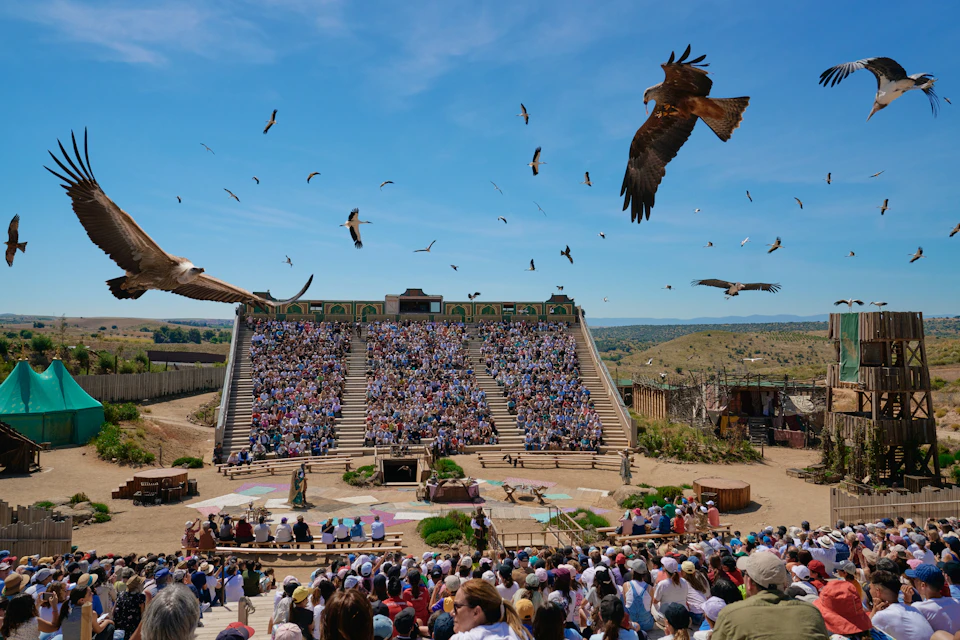 A large outdoor amphitheater filled with a crowd, birds flying overhead, and a performer in the central stage area.