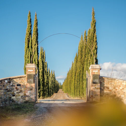 Vinícola Corte Pavone Estate: Degustação de vinhos de Montalcino + petiscos gourmet - Photo 6