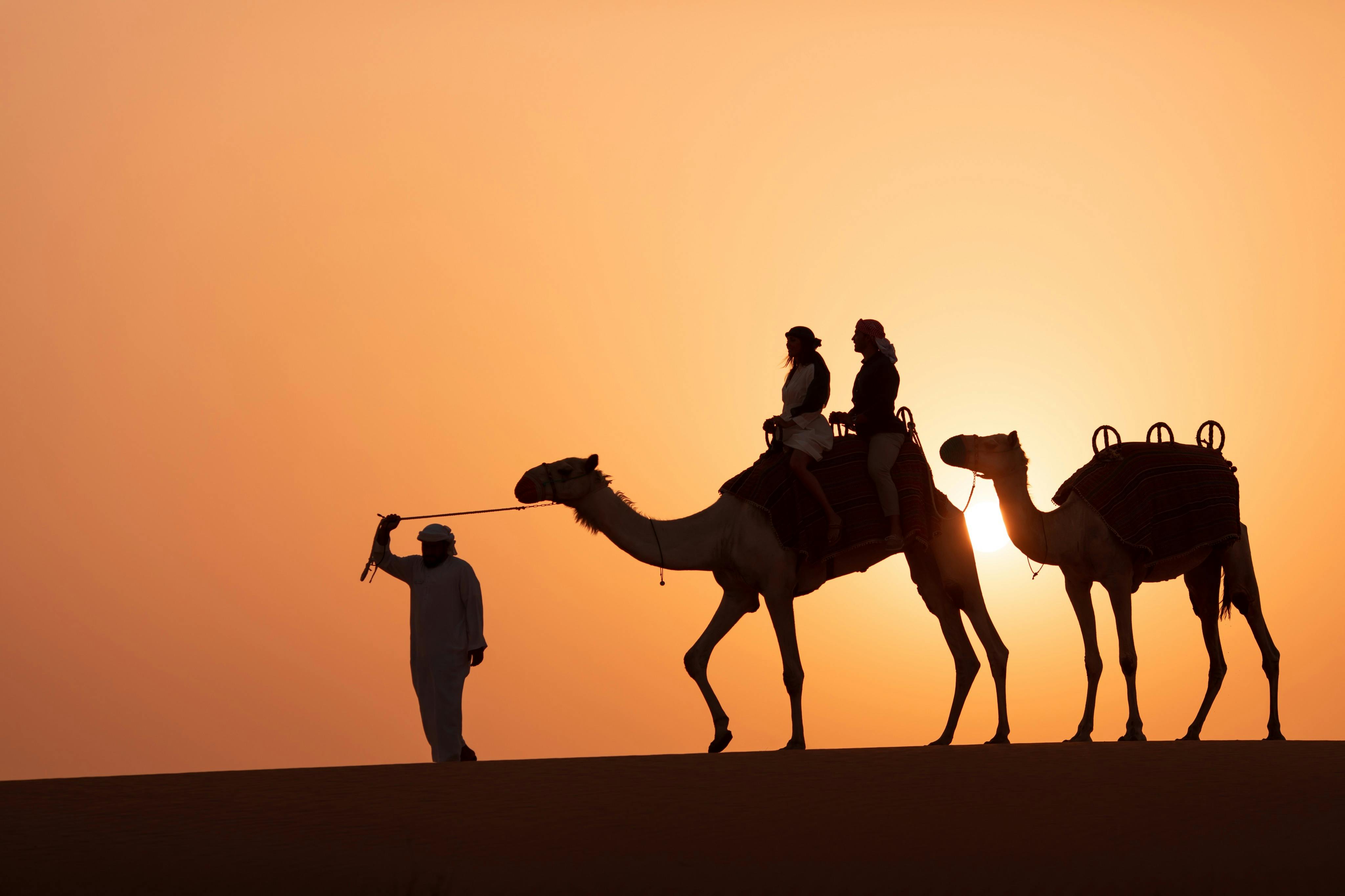 Dubai: Guided Luxury Desert Safari + Falconry Show + Dinner + Transfers - Photo 3