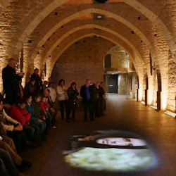 Flera personer är samlade i ett svagt upplyst stenbågsrum och tittar på en bild av en kvinnas ansikte som projiceras på golvet.