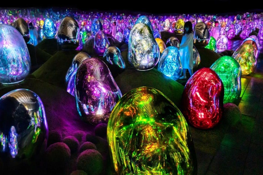 teamLab Premium Pass