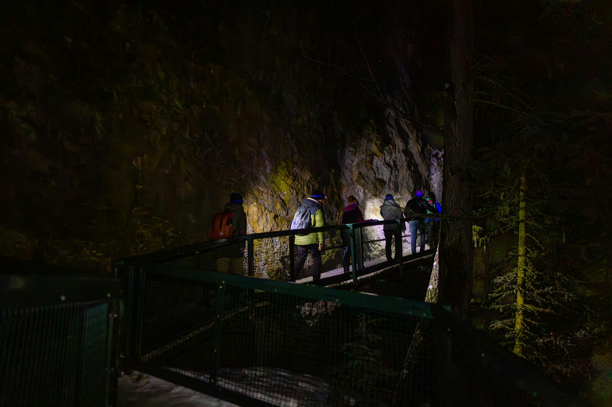 Scopri i tour di Banff - Passeggiata serale sul ghiaccio del canyon di Johnston