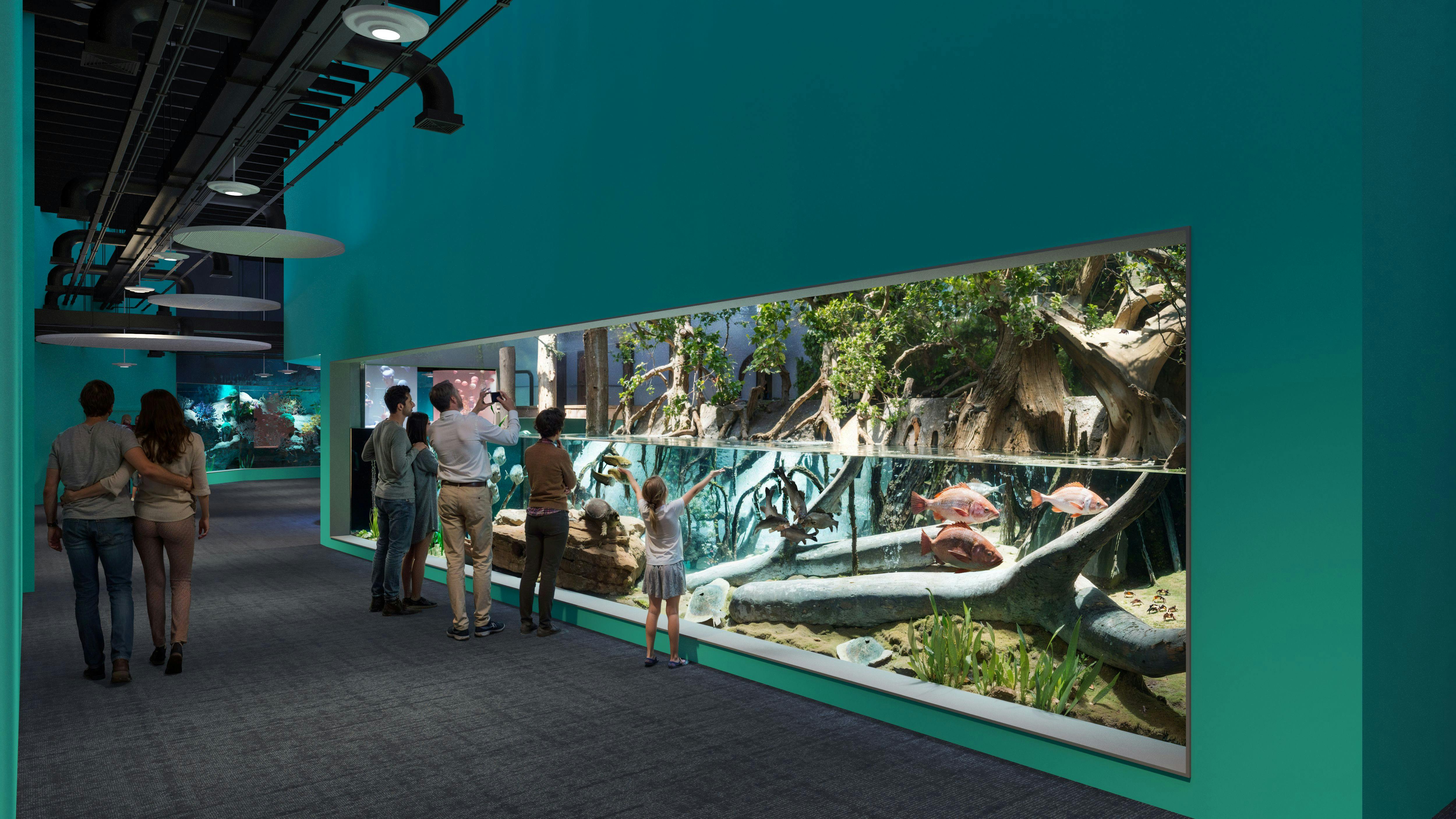 Los visitantes observan una gran exposición interior de acuarios con peces, plantas y una réplica de un hábitat natural.