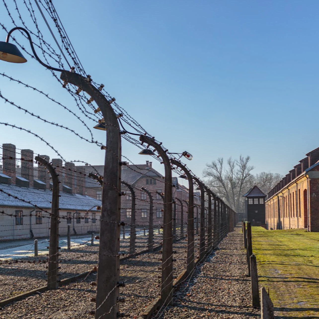 Auschwitz-Birkenau: Guided Tour + Transport in Krakow – Tiqets