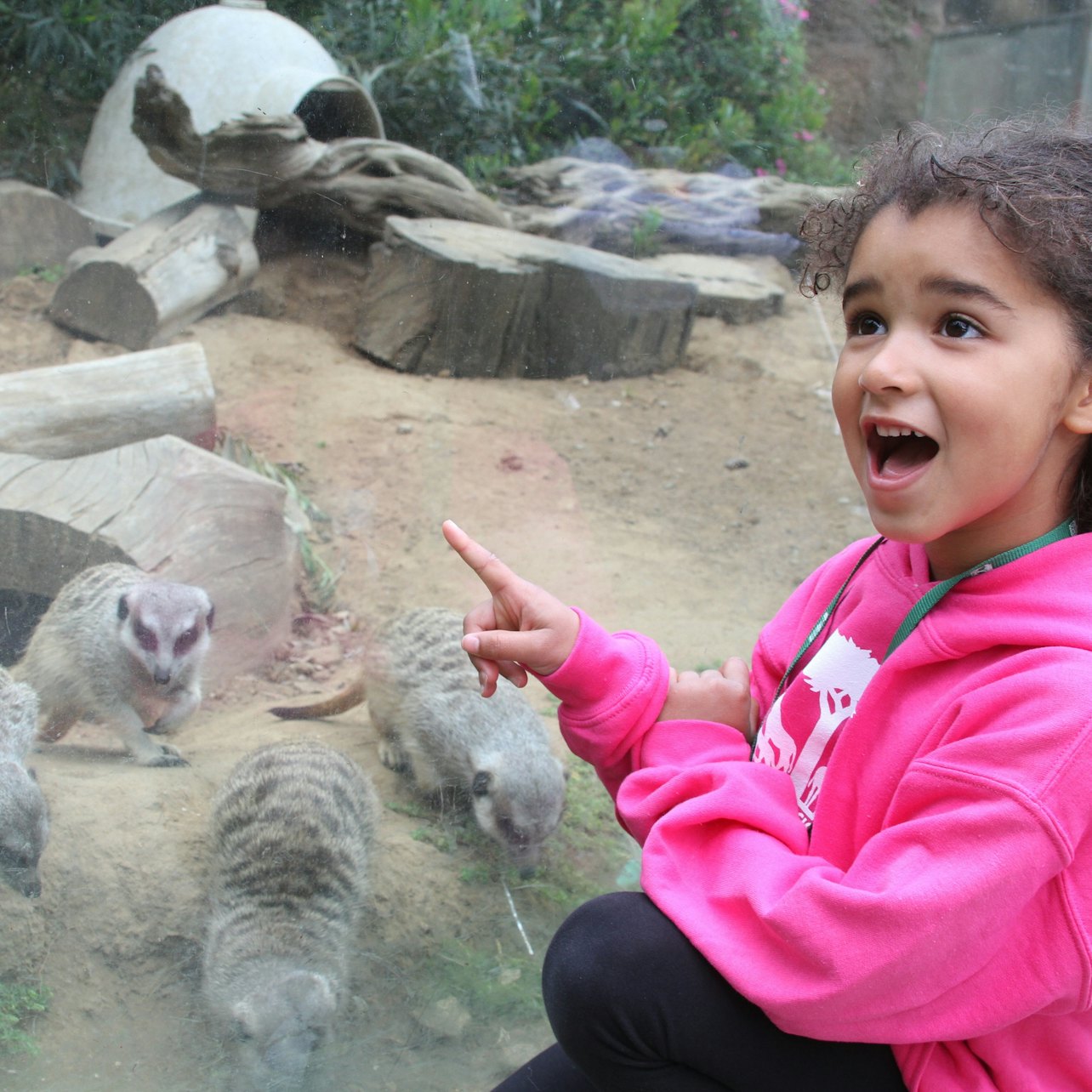 Zoo di San Francisco: Biglietto d'ingresso - Alloggi in San Francisco