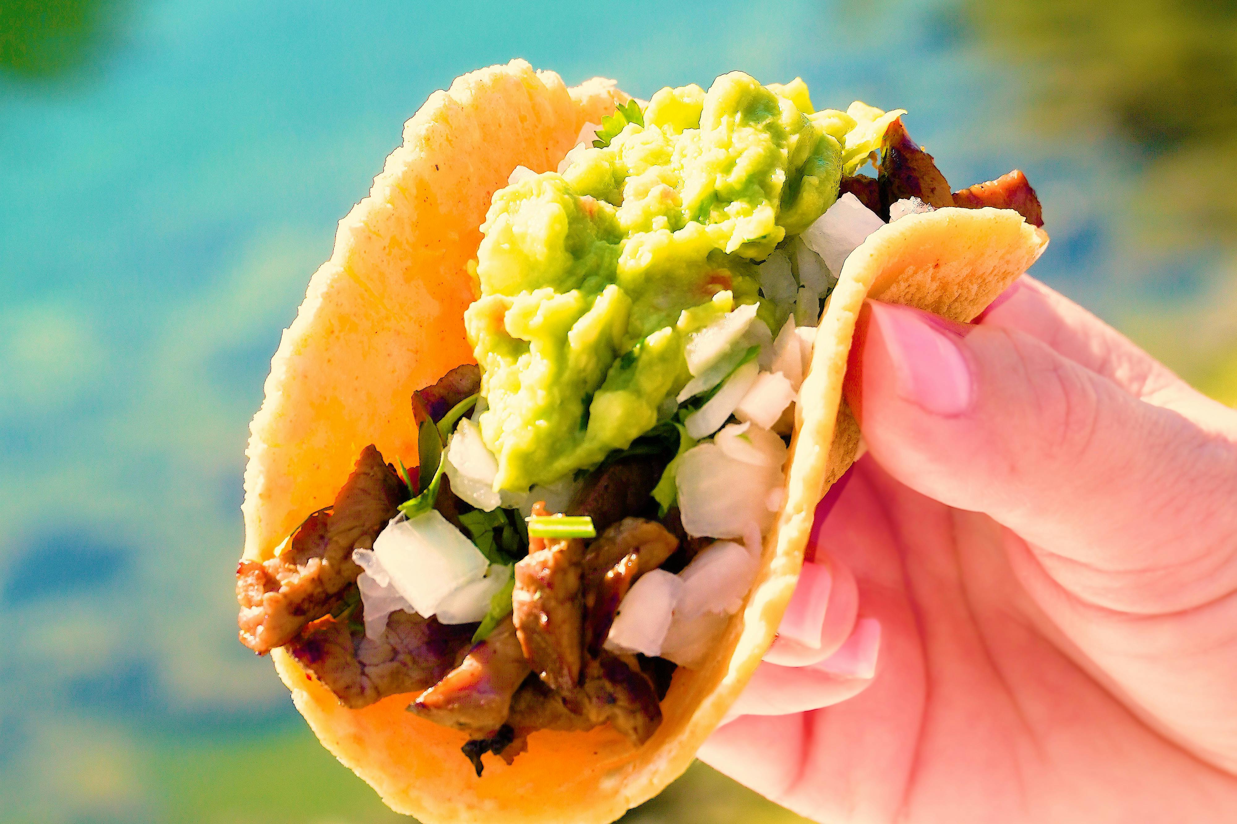 The Crack Taco商店令人垂涎欲滴的臭名昭著的炸玉米饼