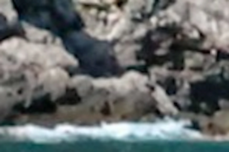 A group of people kayaking on a turquoise sea near a rocky shoreline under a clear blue sky.
