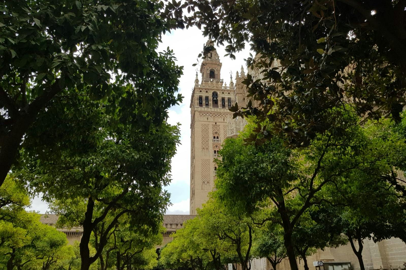 Seville: Alcázar & Cathedral Guided Tour 3
