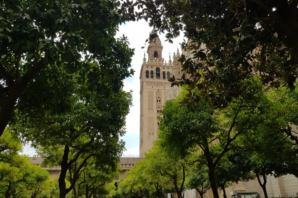 La Giralda from Patio de los Naranjos