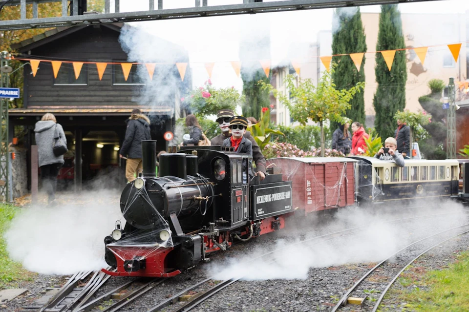 Train