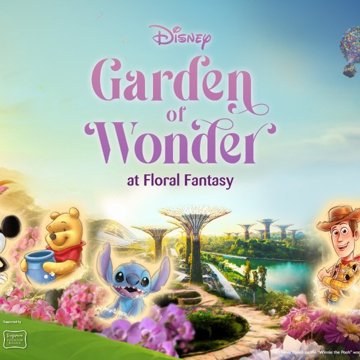 Gardens by the Bay: Flower Dome & Cloud Forest (Optional)