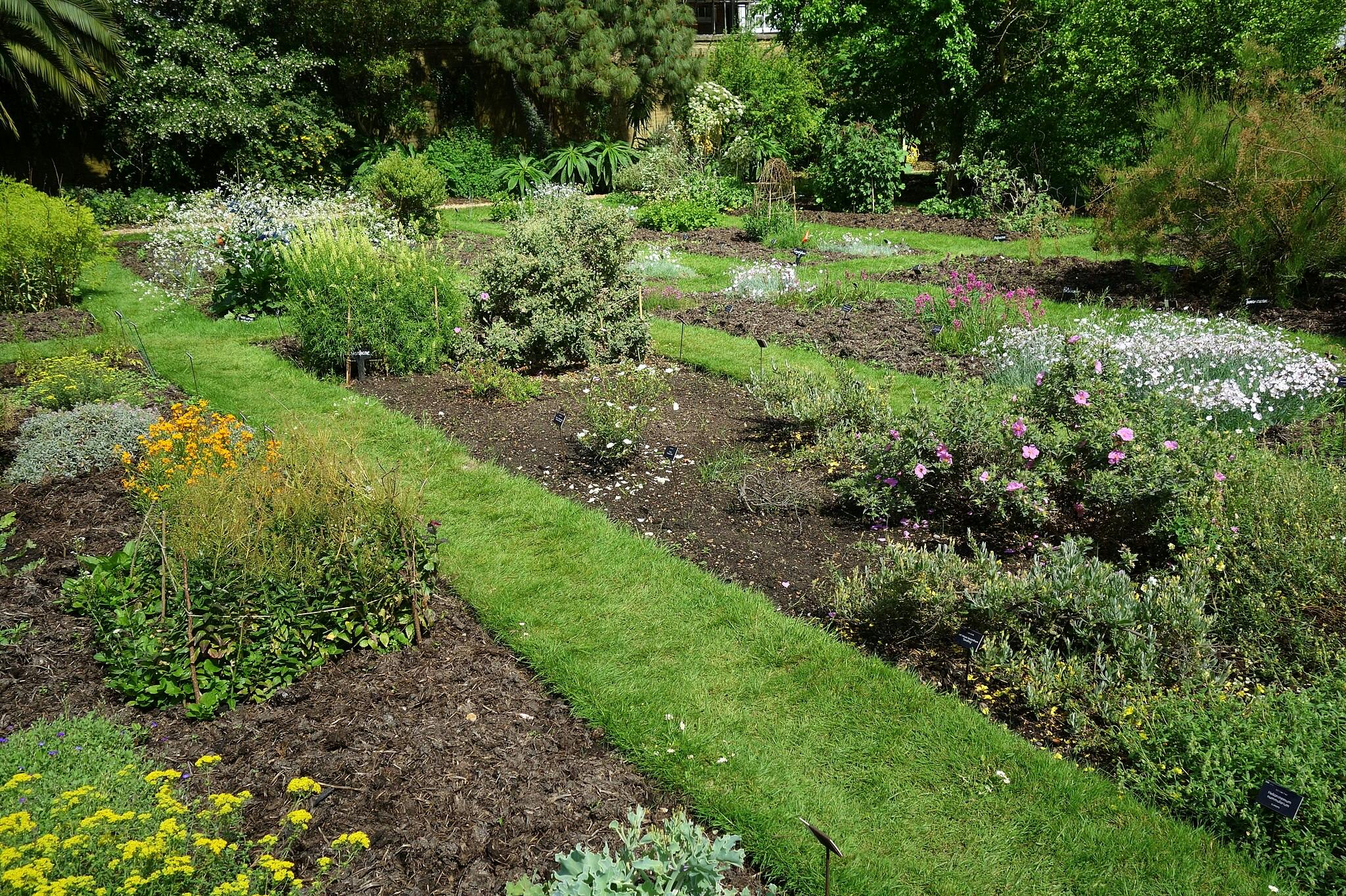 Ein üppiger Garten mit einer Vielzahl von Pflanzen, Blumen und Sträuchern, getrennt durch grasbewachsene Wege, umgeben von dichtem Grün.