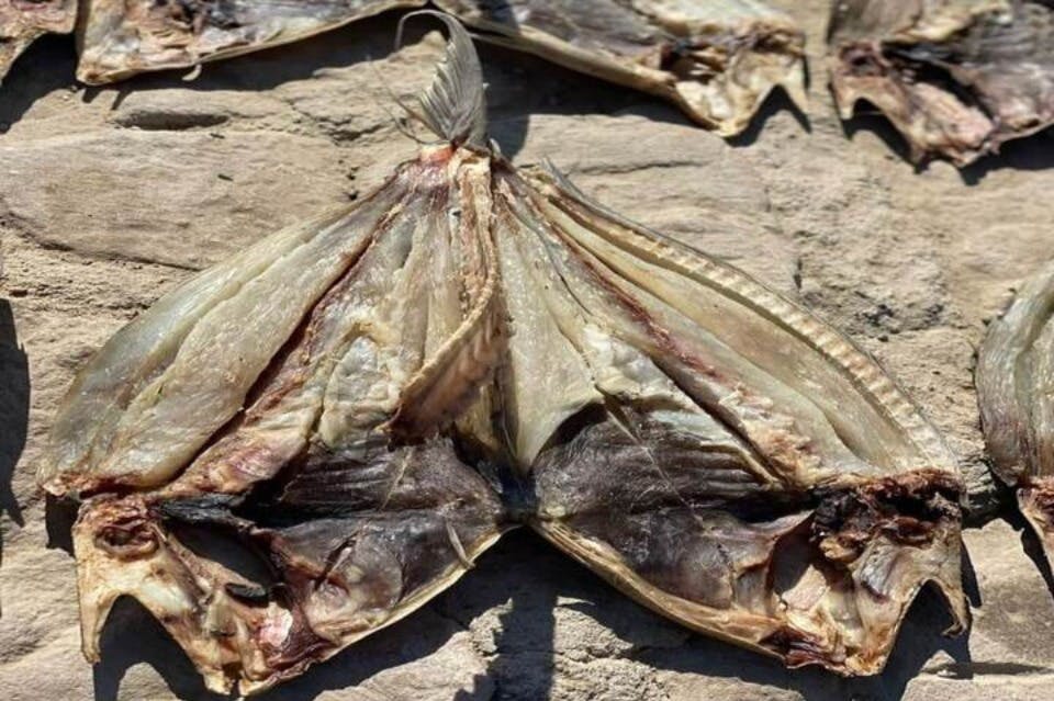 Muzeum mumifikace Elquseir