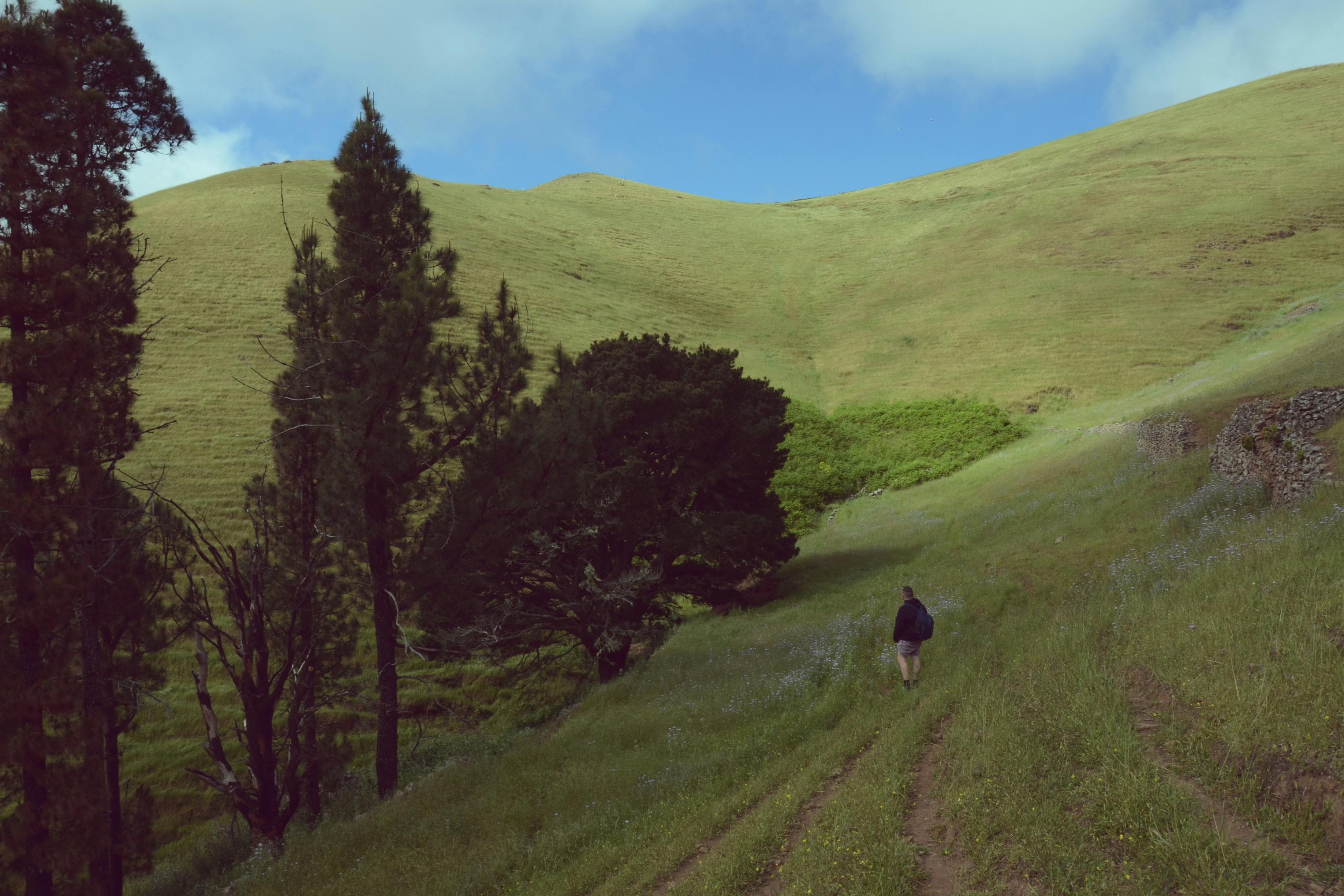 Άτομο που περπατάει σε ένα καταπράσινο μονοπάτι περιτριγυρισμένο από δέντρα με γαλάζιο ουρανό και σύννεφα πάνω από το κεφάλι του.