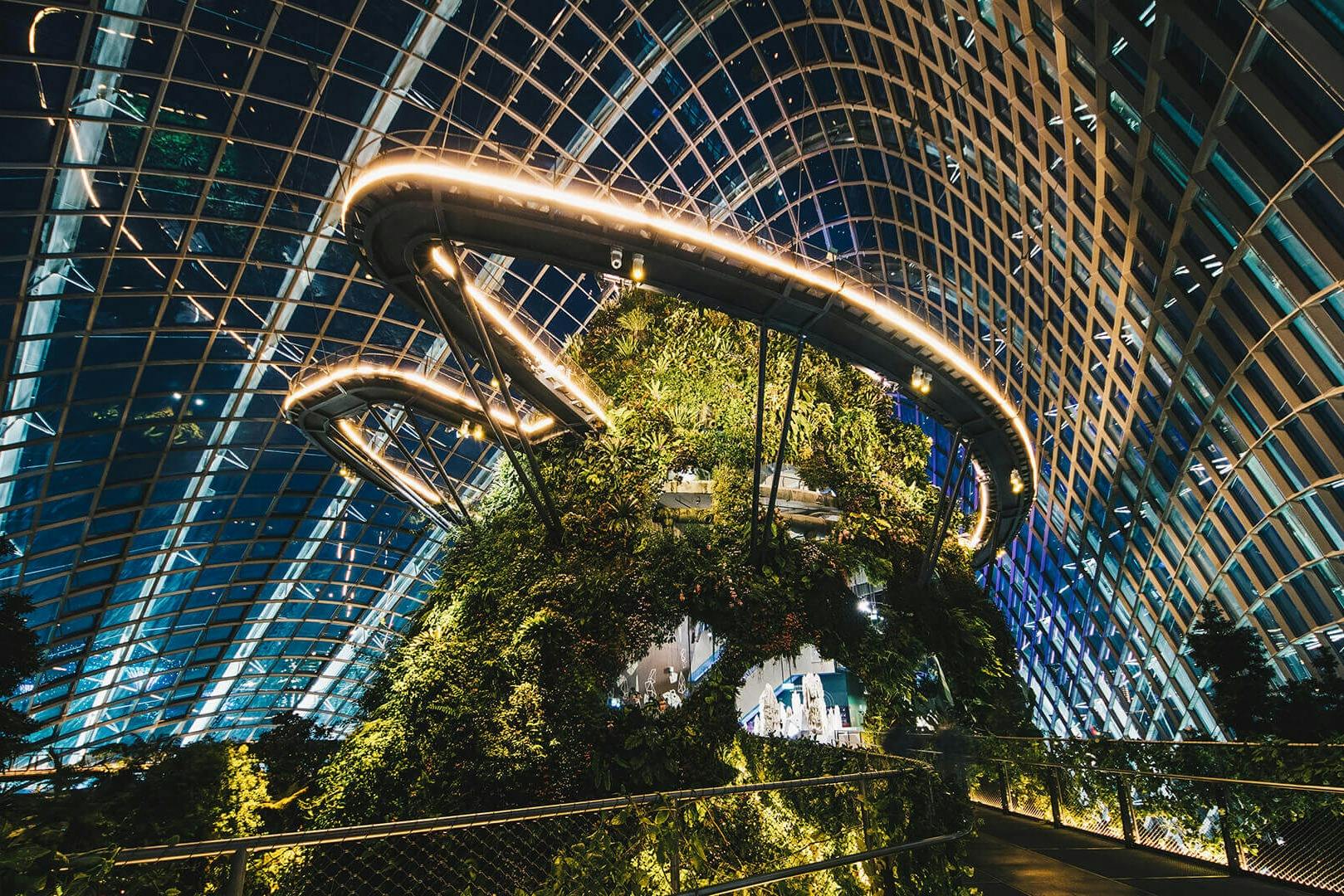 Κήποι δίπλα στον κόλπο - Θόλος λουλουδιών και δάσος σύννεφων