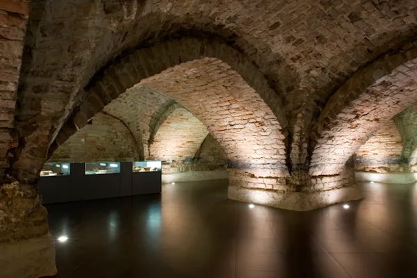 Criptas da Catedral de Vilnius: Tour Guiado