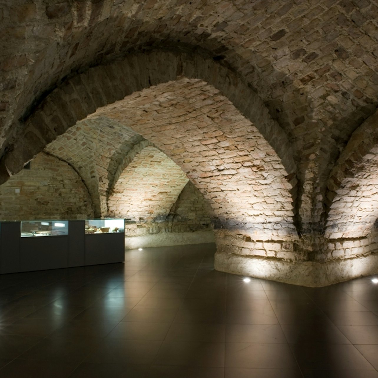 Criptas de la catedral de Vilnius: Visita guiada - Alojamientos en Vilna