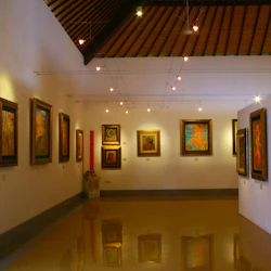 Museum Pasifika Bali: Entry Ticket 3