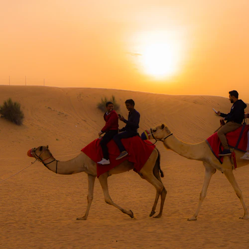 Dubai: Premium Sunset Safari, Quad Bike, Sandboard + BBQ Dinner - Photo 6