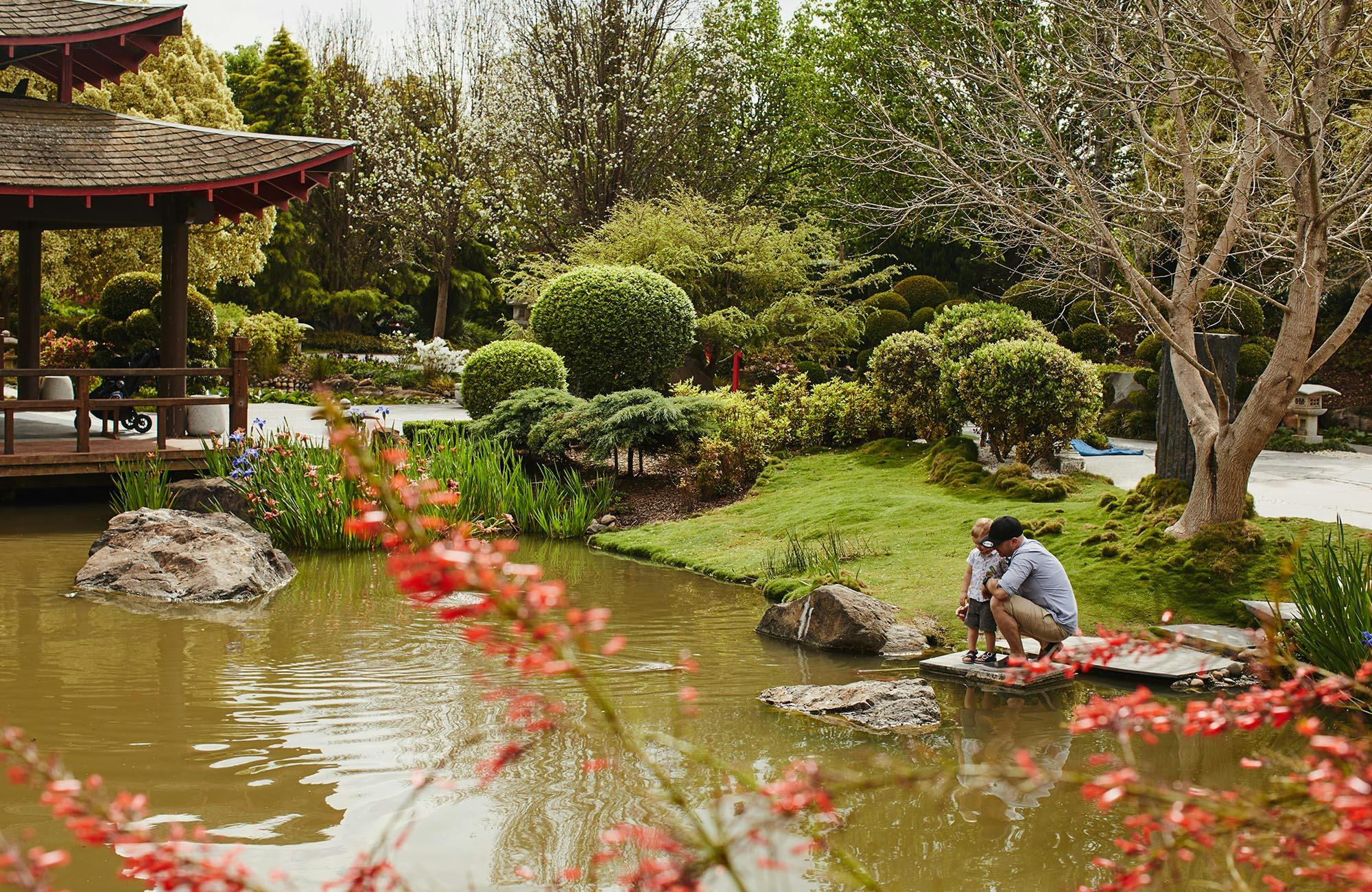 A serene garden scene with a pond, greenery, and a person and child by the water's edge on a rock platform.