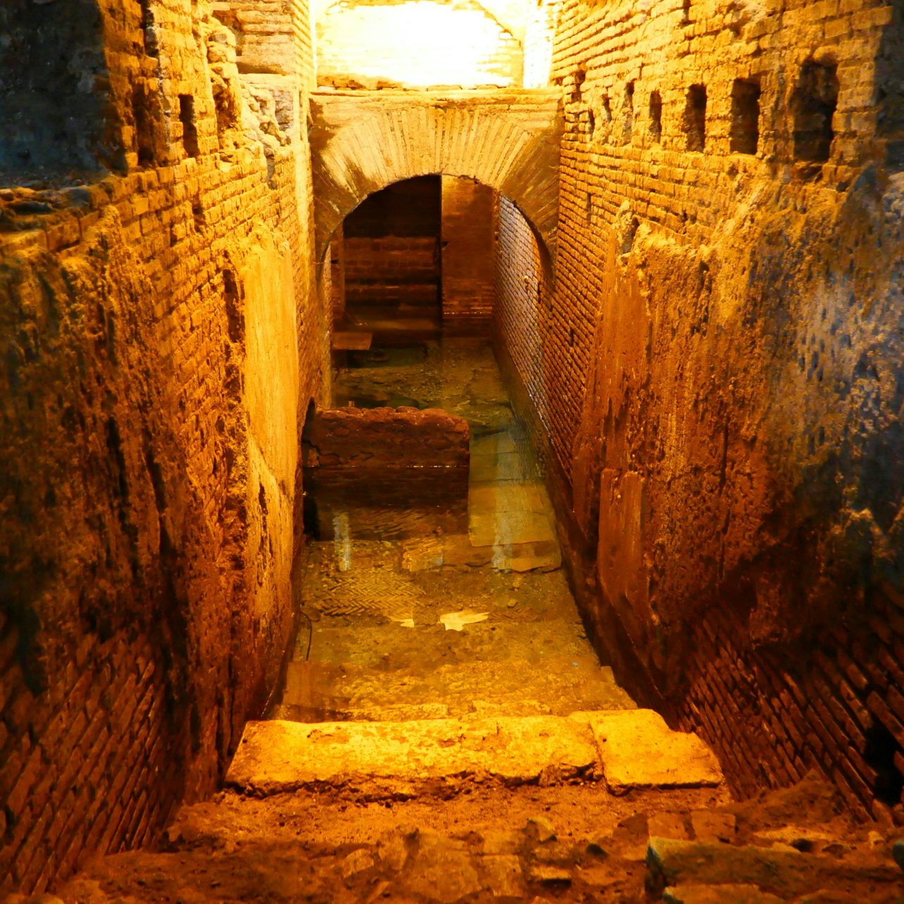 Roma: Visita guiada exprés a la Fontana de Trevi y sus subterráneos - Alojamientos en Roma