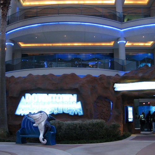 Downtown Aquarium Houston: Entry Ticket