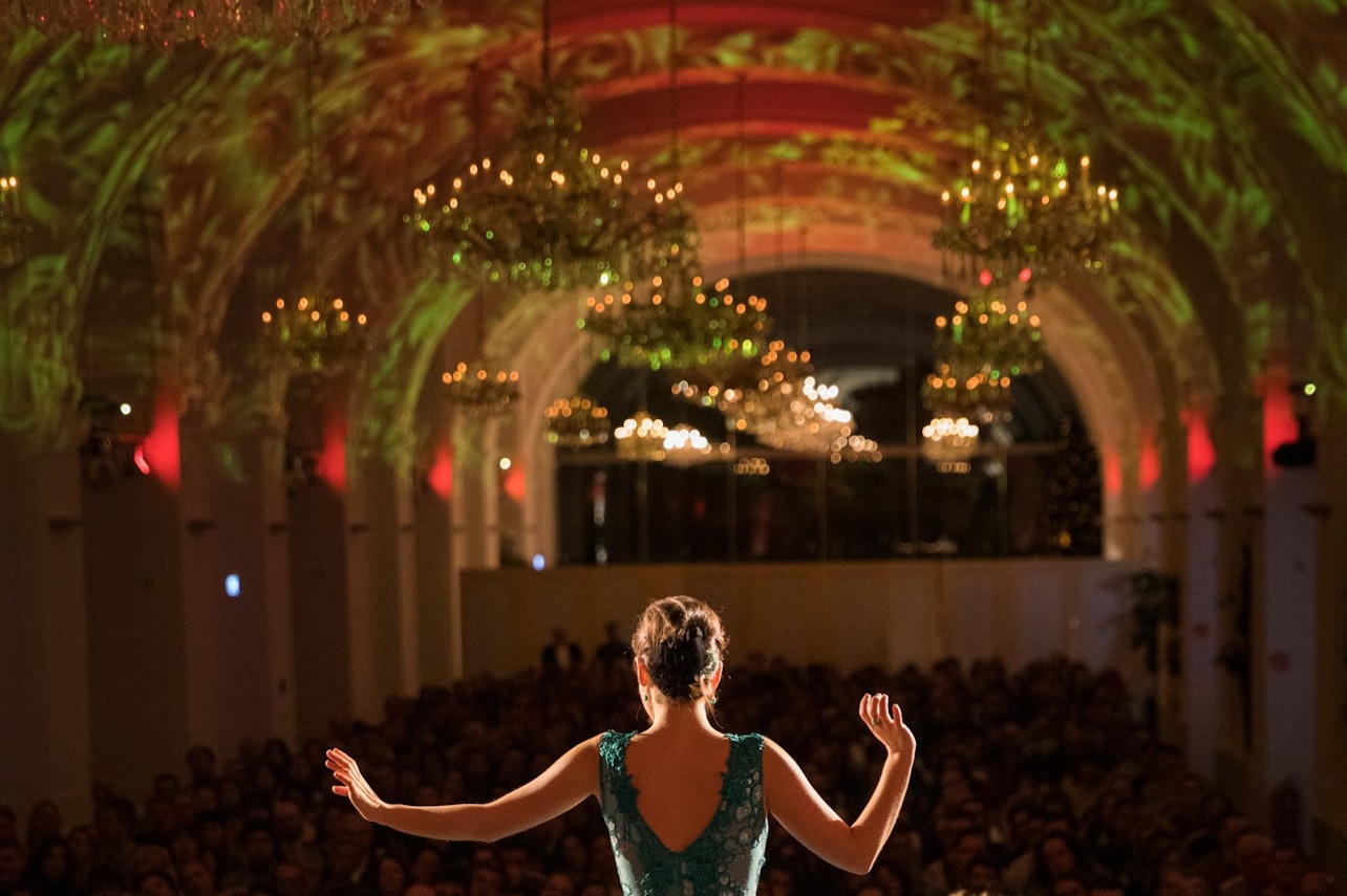 Una noche en Schönbrunn: Cena y concierto - Alojamientos en Viena