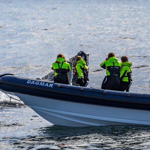 Whale Watching: Whales of Iceland Entry + RIB Boat Tour from Reykjavik - Photo 7