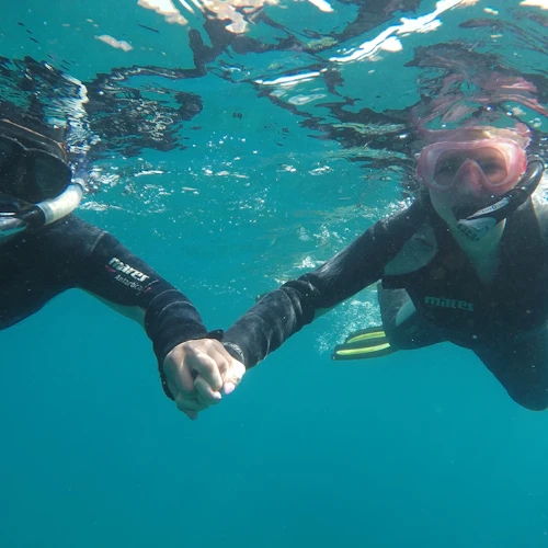 Los Cristianos: mergulho com snorkel em um recife de lava - Photo 5