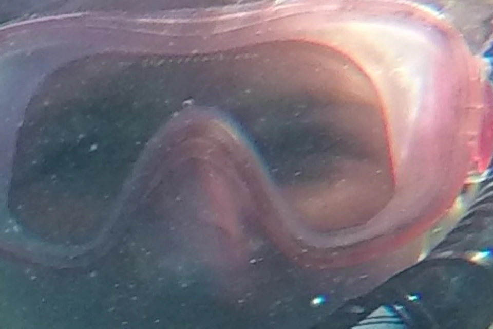SNORKEL