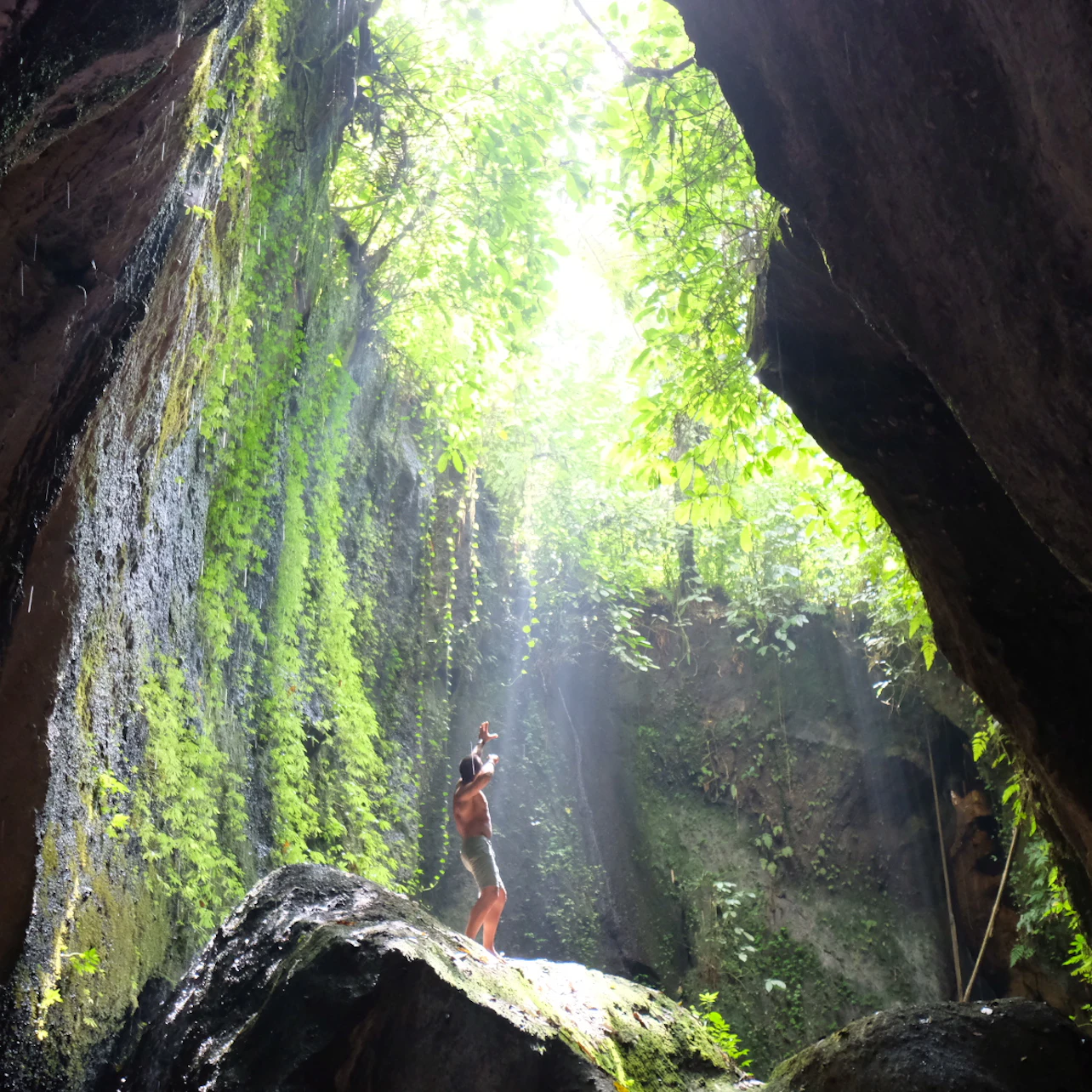 Person stands on a rock in a lush, moss-covered canyon, illuminated by sunlight streaming through the foliage above.