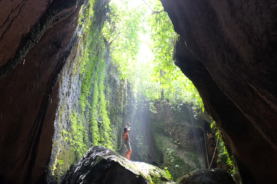 Person stands on a rock in a lush, moss-covered canyon, illuminated by sunlight streaming through the foliage above.