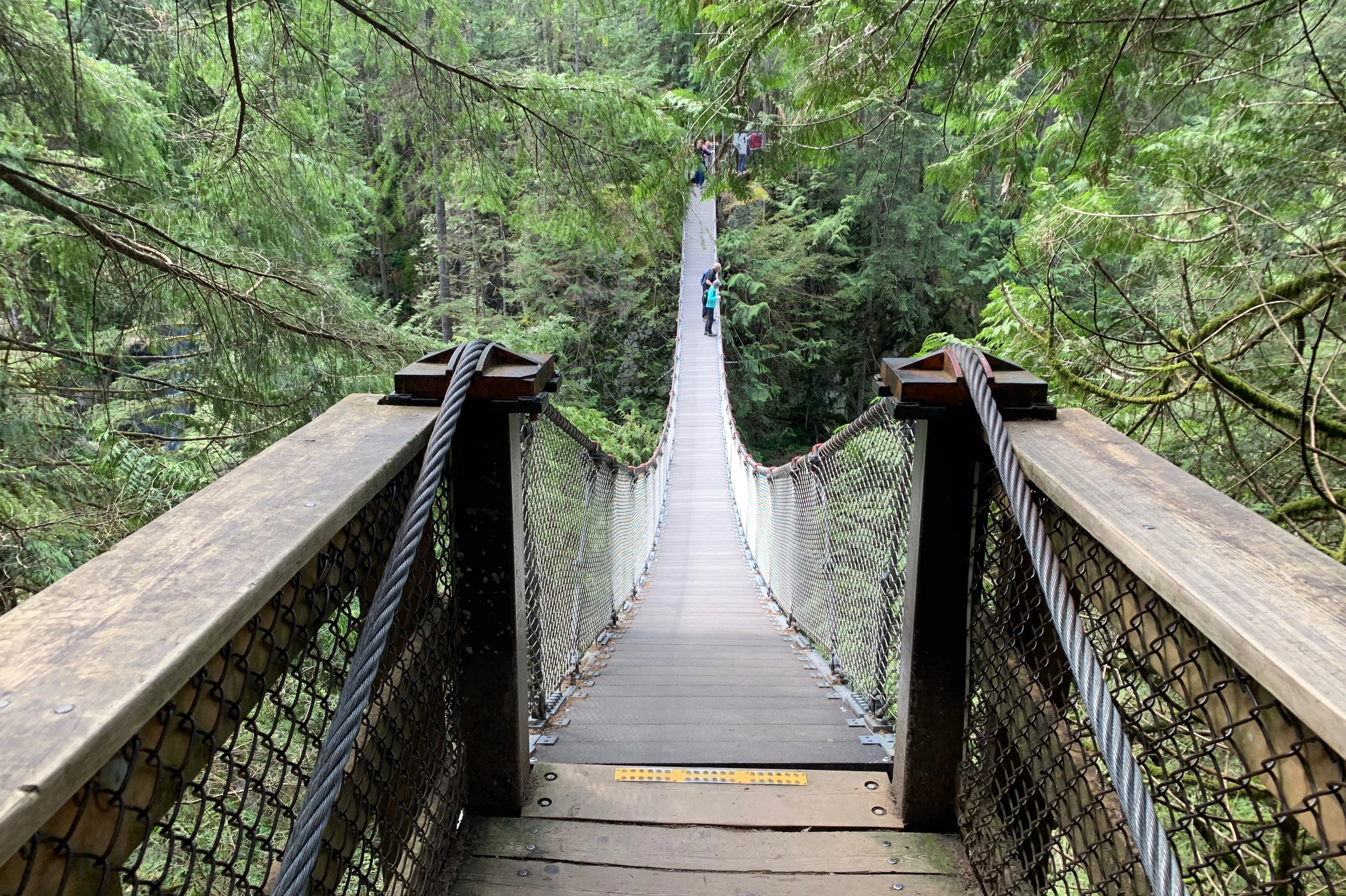 Vancouver: Guided Rainforest Hike with Waterfalls & Suspension Bridge + Transfer