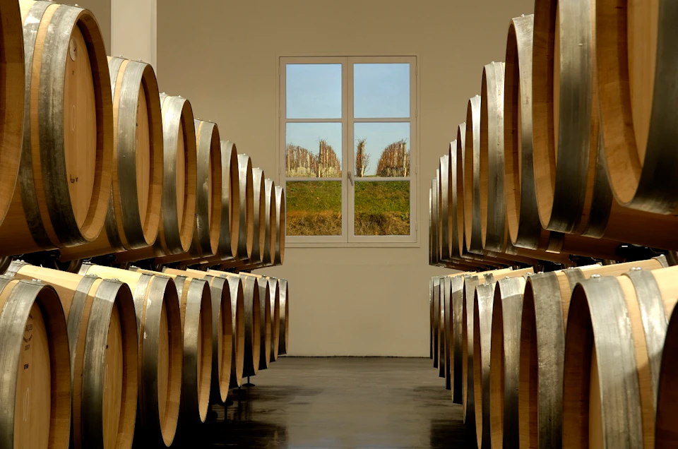 Rows of wooden barrels line the walls of a room, with a window at the far end offering a view of a vineyard.