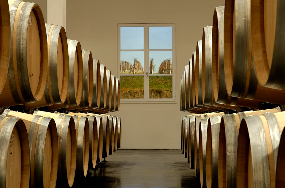 Rows of wooden barrels line the walls of a room, with a window at the far end offering a view of a vineyard.