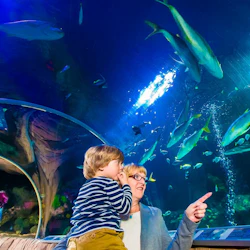 SEA LIFE Munich: Entry Ticket 4