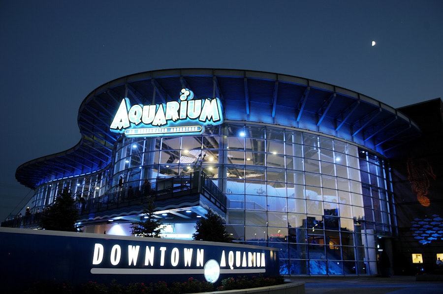 Denver Downtown Aquarium Tickets