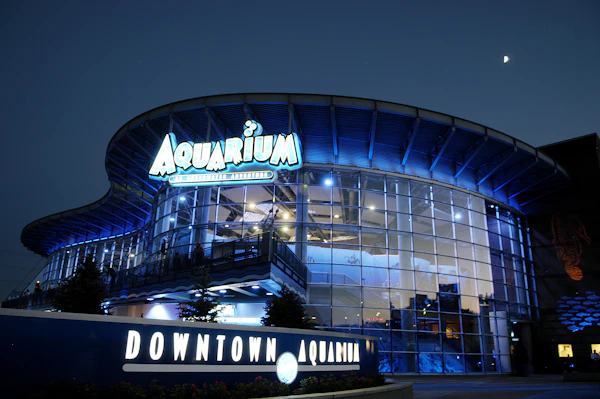 Annecy halve dagtocht vanuit Genève