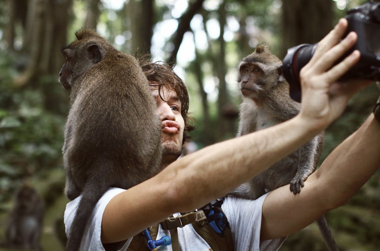 A person takes a selfie while two monkeys sit on their shoulders in a forested setting.